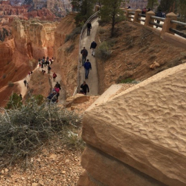 zion path