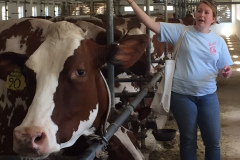 Hornstra Dairy Farm