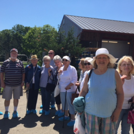 Farm Group