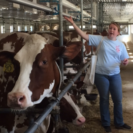 hornstra tour guide & cow