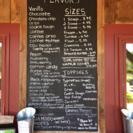 ice cream flavors