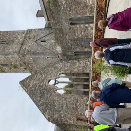 Viking Sword Waterford 2