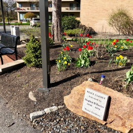Peace Garden with Bench Spring 2019