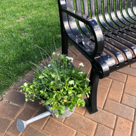 Watering can with flowers Spring 2019